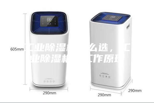 工業(yè)除濕機(jī)怎么選，工業(yè)除濕機(jī)的工作原理