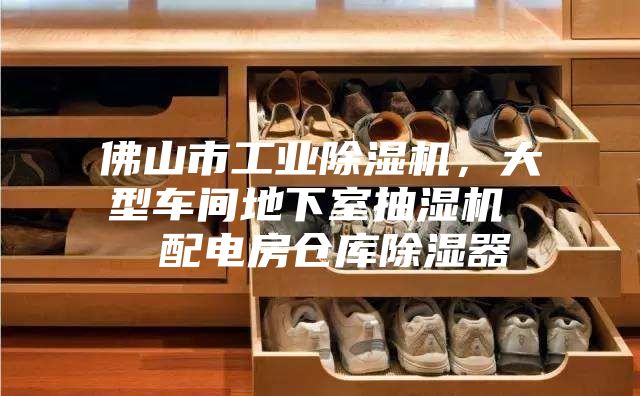 佛山市工業(yè)除濕機，大型車間地下室抽濕機  配電房倉庫除濕器