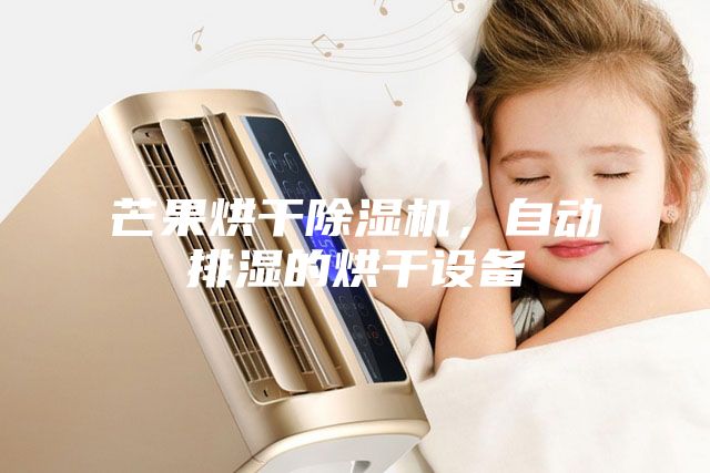 芒果烘干除濕機(jī)，自動排濕的烘干設(shè)備