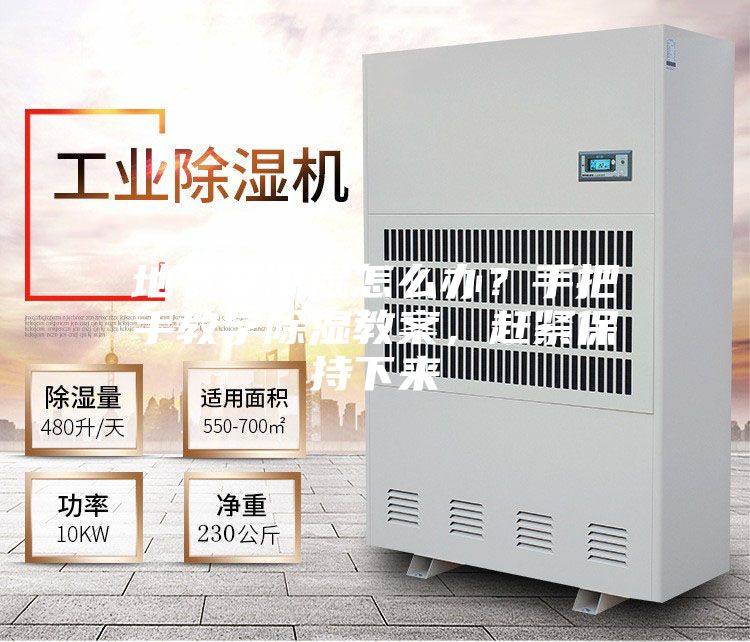 地下室潮濕怎么辦？手把手教學(xué)除濕教案，趕緊保持下來
