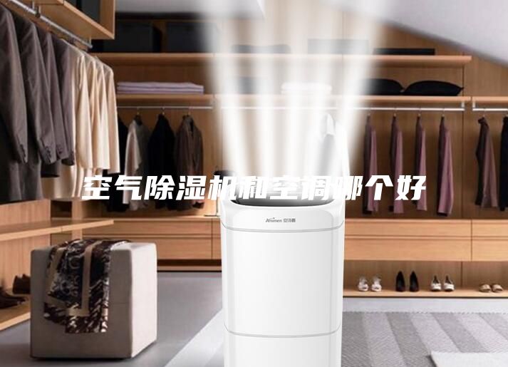 空氣除濕機(jī)和空調(diào)哪個好