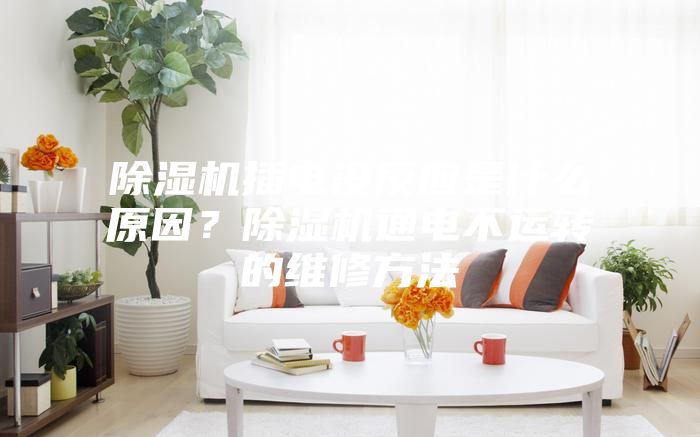 除濕機(jī)插電沒反應(yīng)是什么原因？除濕機(jī)通電不運(yùn)轉(zhuǎn)的維修方法