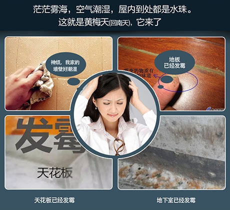 酒店、餐廳這么潮，誰還放心？除濕機(jī)用起來啊