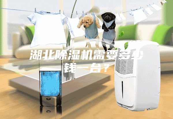 湖北除濕機(jī)需要多少錢一臺？