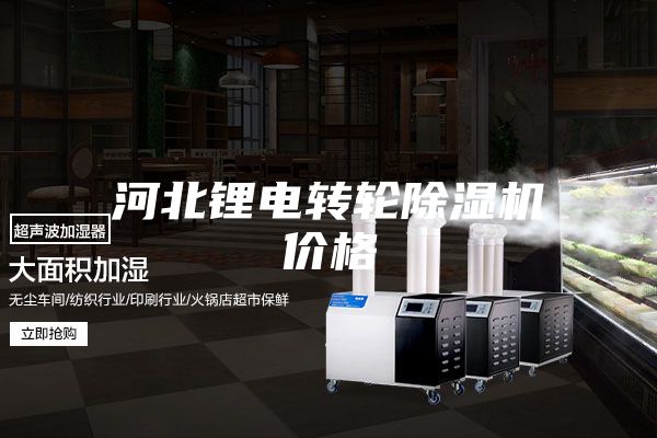 河北鋰電轉(zhuǎn)輪除濕機(jī)價(jià)格