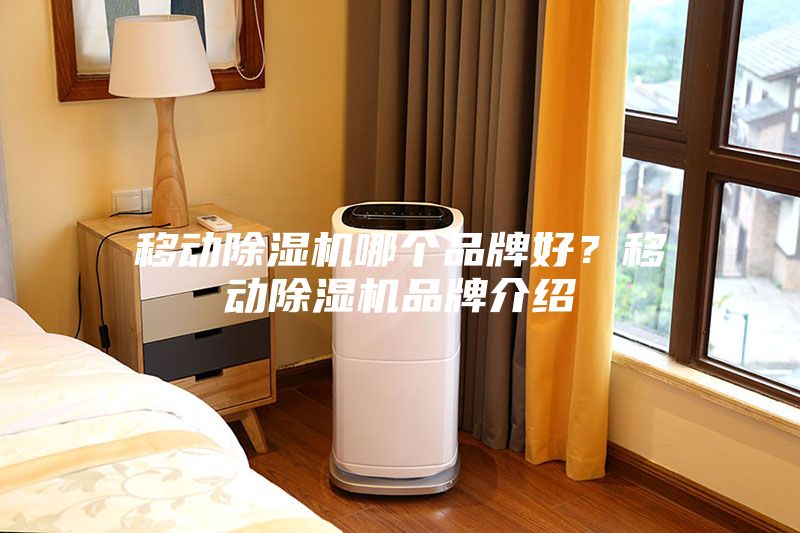移動除濕機(jī)哪個品牌好？移動除濕機(jī)品牌介紹