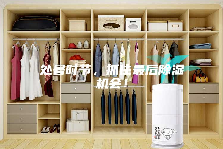 處暑時(shí)節(jié)，抓住最后除濕機(jī)會！