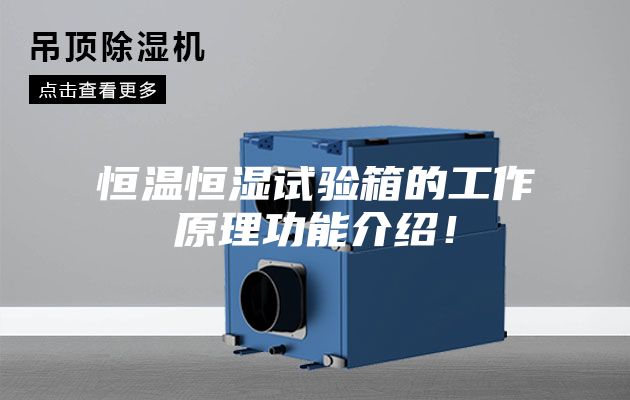 恒溫恒濕試驗(yàn)箱的工作原理功能介紹！