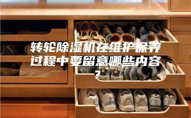轉(zhuǎn)輪除濕機(jī)在維護(hù)保養(yǎng)過程中要留意哪些內(nèi)容？