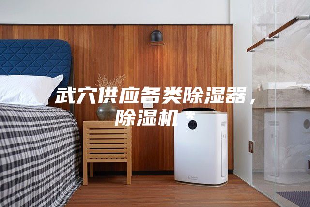 武穴供應各類除濕器，除濕機＊