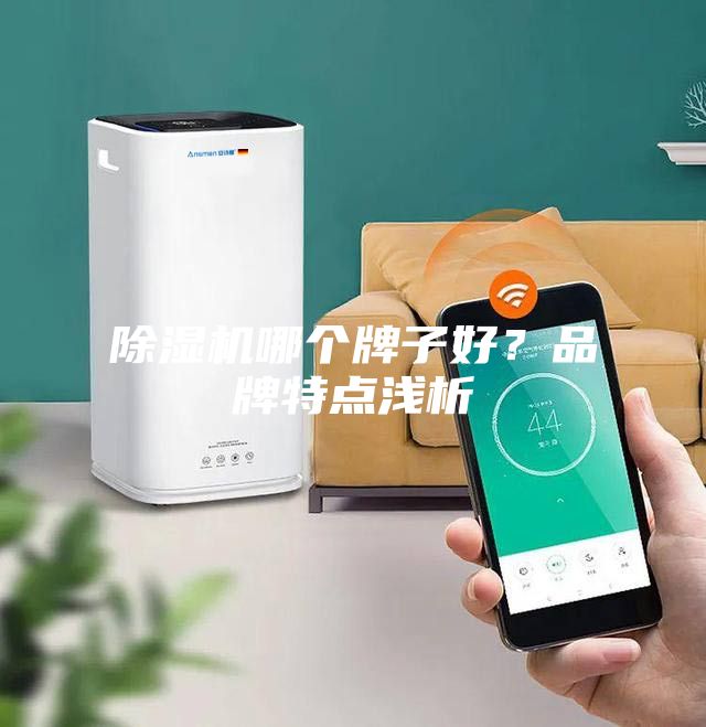 除濕機哪個牌子好？品牌特點淺析
