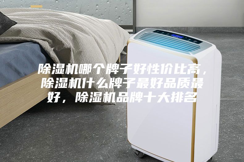 除濕機哪個牌子好性價比高，除濕機什么牌子最好品質(zhì)最好，除濕機品牌十大排名