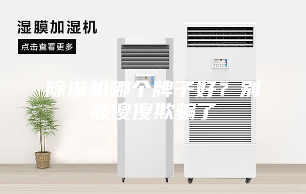 除濕機(jī)哪個(gè)牌子好？別被傻傻欺騙了