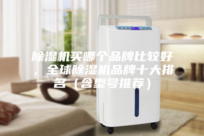 除濕機買哪個品牌比較好，全球除濕機品牌十大排名（含型號推薦）