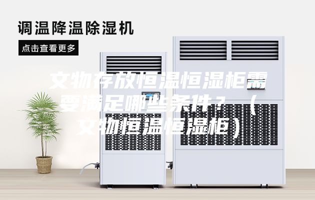 文物存放恒溫恒濕柜需要滿足哪些條件？（文物恒溫恒濕柜）