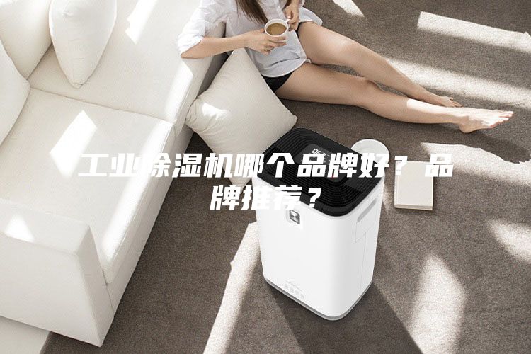 工業(yè)除濕機哪個品牌好？品牌推薦？
