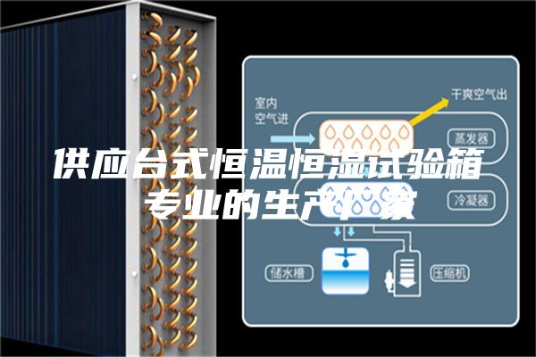 供應(yīng)臺式恒溫恒濕試驗箱 專業(yè)的生產(chǎn)廠家