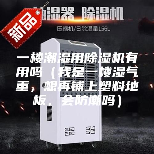 一樓潮濕用除濕機有用嗎（我是一樓濕氣重，想再鋪上塑料地板，會防潮嗎）