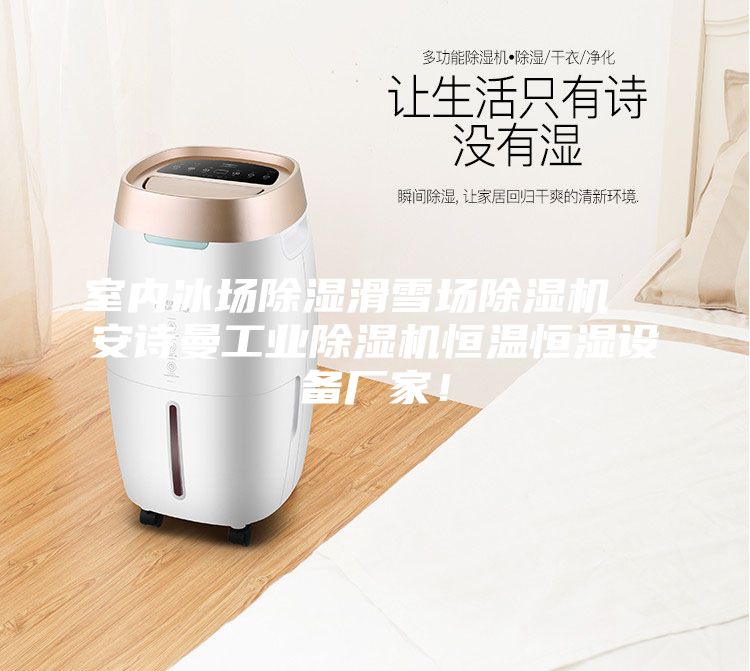 室內(nèi)冰場(chǎng)除濕滑雪場(chǎng)除濕機(jī) 安詩曼工業(yè)除濕機(jī)恒溫恒濕設(shè)備廠家!