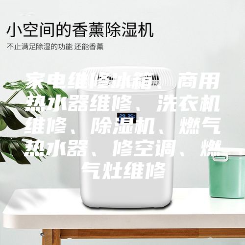 家電維修冰箱、商用熱水器維修、洗衣機(jī)維修、除濕機(jī)、燃?xì)鉄崴鳌⑿蘅照{(diào)、燃?xì)庠罹S修