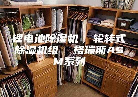 鋰電池除濕機(jī) 輪轉(zhuǎn)式除濕機(jī)組 格瑞斯ASM系列