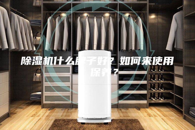 除濕機(jī)什么牌子好？如何來使用、保養(yǎng)？