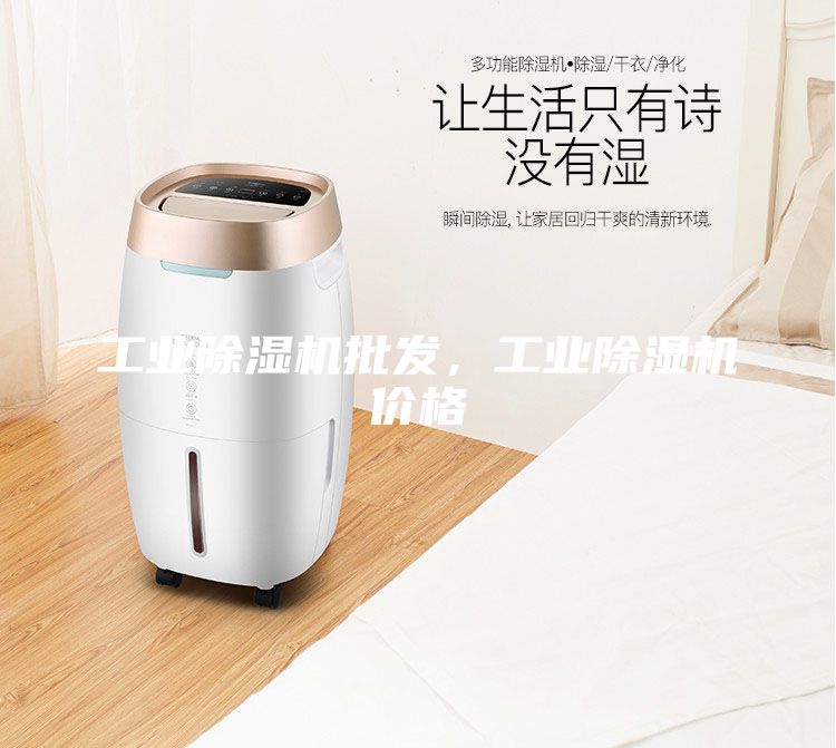 工業(yè)除濕機(jī)批發(fā),工業(yè)除濕機(jī)價(jià)格