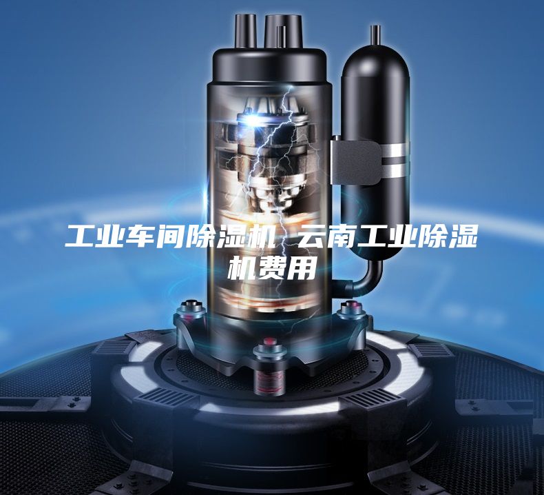 工業(yè)車間除濕機 云南工業(yè)除濕機費用