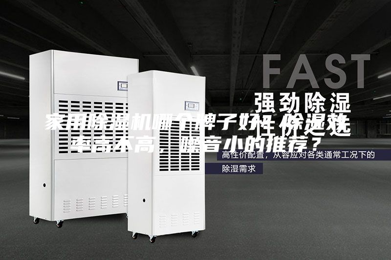 家用除濕機(jī)哪個(gè)牌子好？除濕效率高不高，噪音小的推薦？