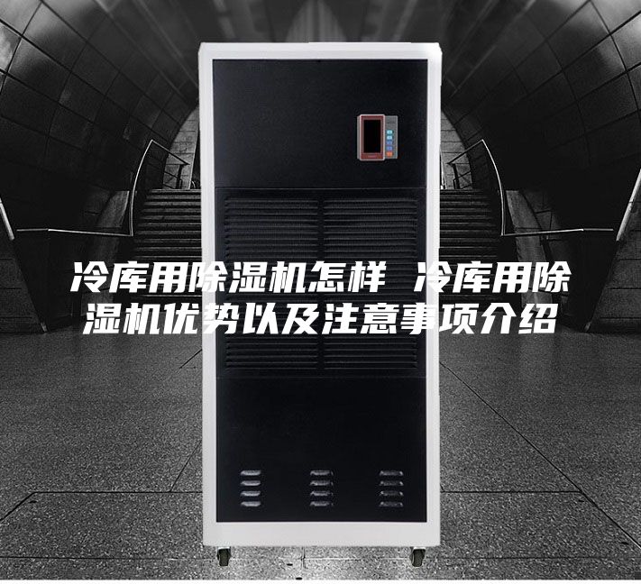 冷庫用除濕機(jī)怎樣 冷庫用除濕機(jī)優(yōu)勢以及注意事項(xiàng)介紹
