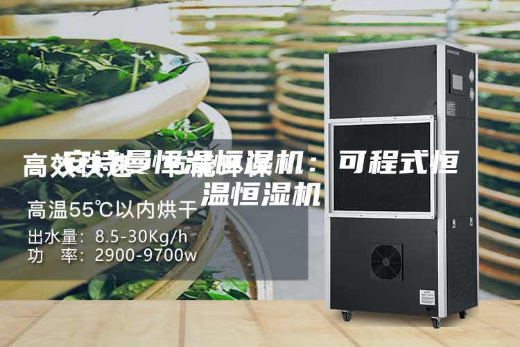 安詩(shī)曼恒溫恒濕機(jī):可程式恒溫恒濕機(jī)