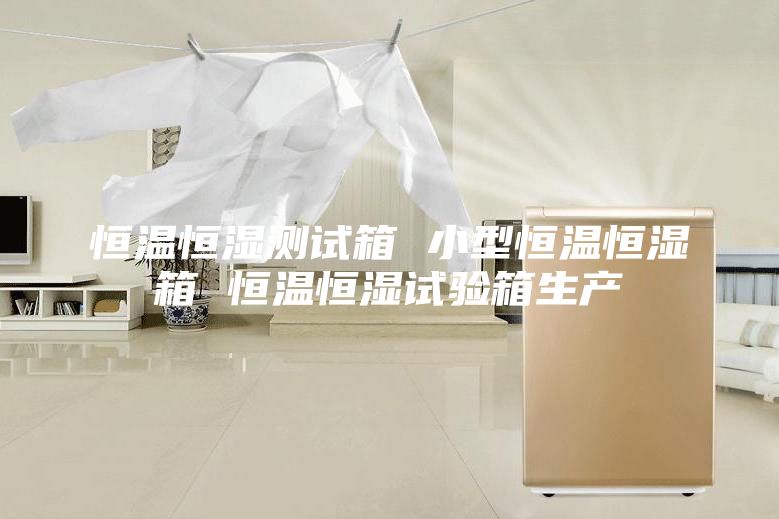 恒溫恒濕測試箱 小型恒溫恒濕箱 恒溫恒濕試驗(yàn)箱生產(chǎn)