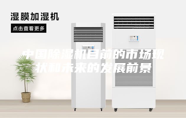 中國(guó)除濕機(jī)目前的市場(chǎng)現(xiàn)狀和未來的發(fā)展前景