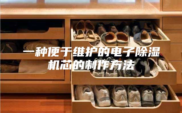 一種便于維護(hù)的電子除濕機(jī)芯的制作方法