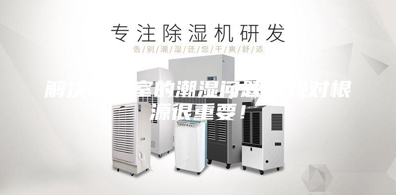 解決地下室的潮濕問題，找對根源很重要！