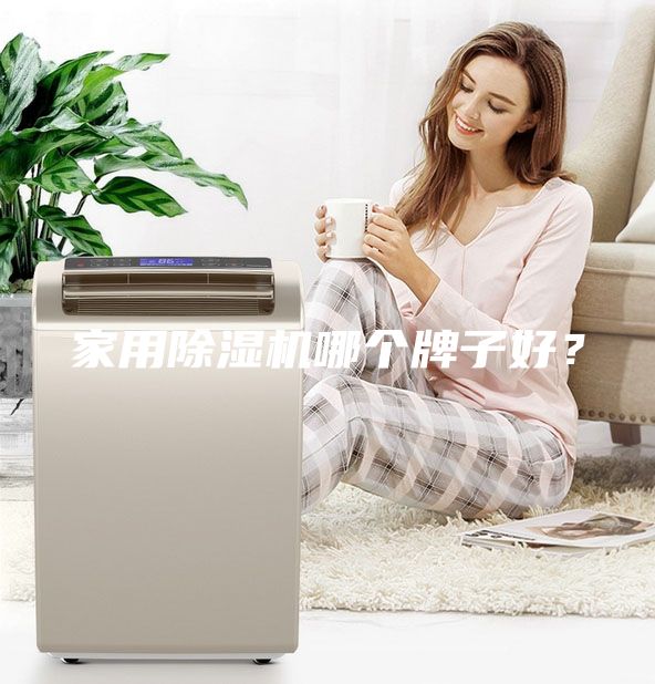 家用除濕機哪個牌子好？