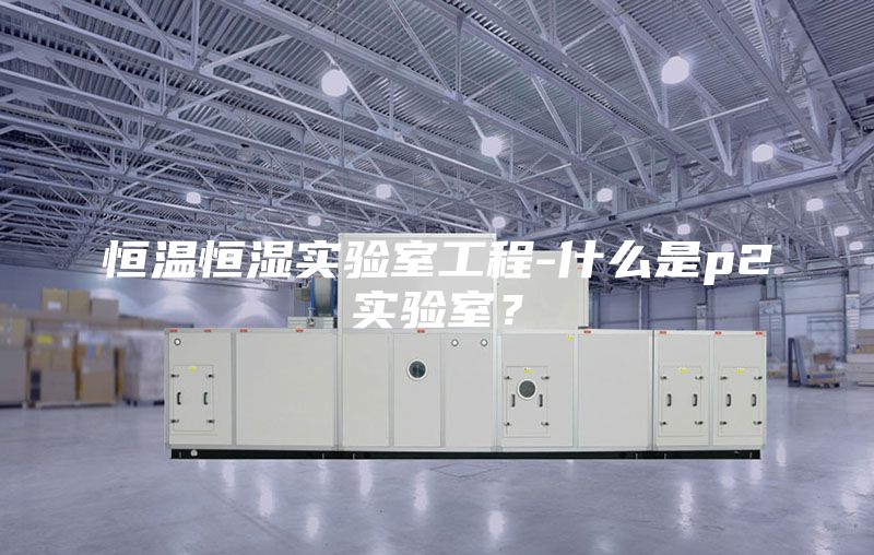 恒溫恒濕實(shí)驗(yàn)室工程-什么是p2實(shí)驗(yàn)室？