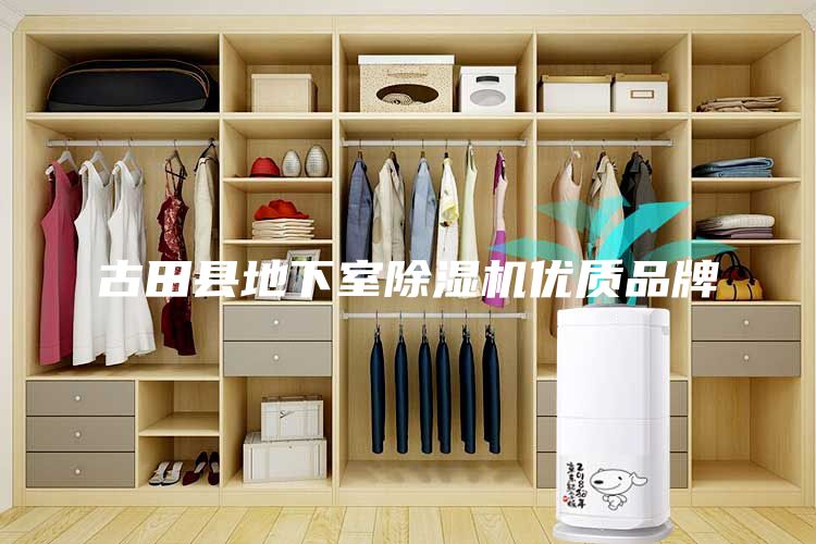 古田縣地下室除濕機優(yōu)質品牌
