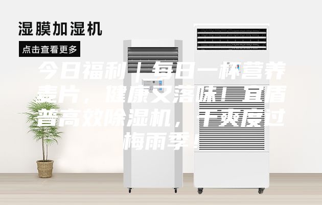 今日福利｜每日一杯營養(yǎng)麥片，健康又落味！宜盾普高效除濕機，干爽度過梅雨季！