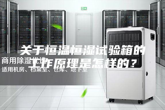 關(guān)于恒溫恒濕試驗(yàn)箱的工作原理是怎樣的？