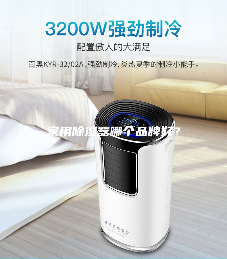 家用除濕器哪個品牌好？