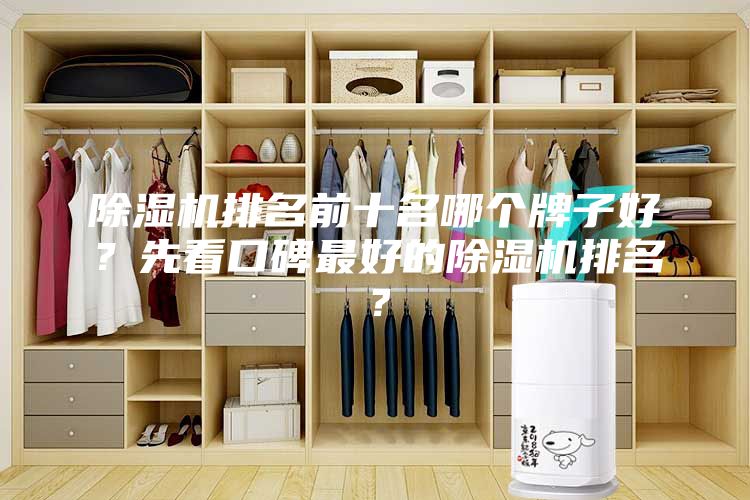 除濕機排名前十名哪個牌子好？先看口碑最好的除濕機排名？