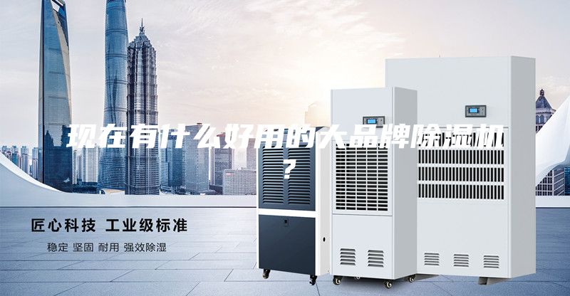 現(xiàn)在有什么好用的大品牌除濕機?