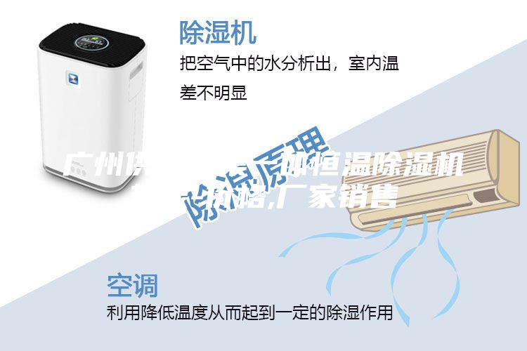 廣州供應(yīng)三集一體恒溫除濕機熱泵-價格,廠家銷售