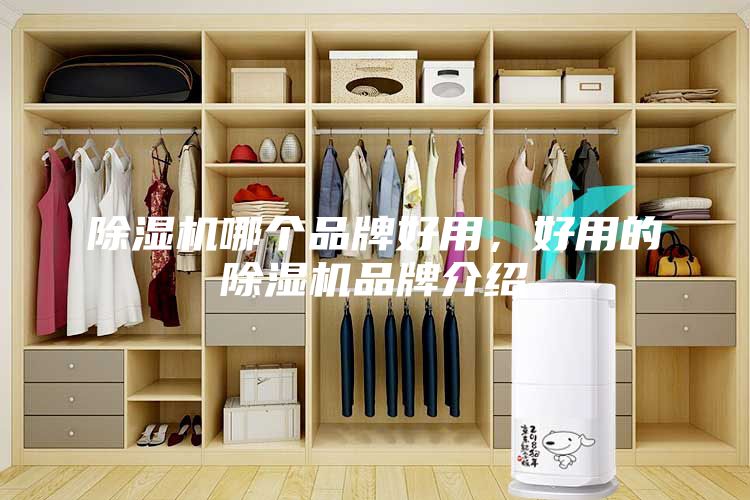 除濕機哪個品牌好用,好用的除濕機品牌介紹