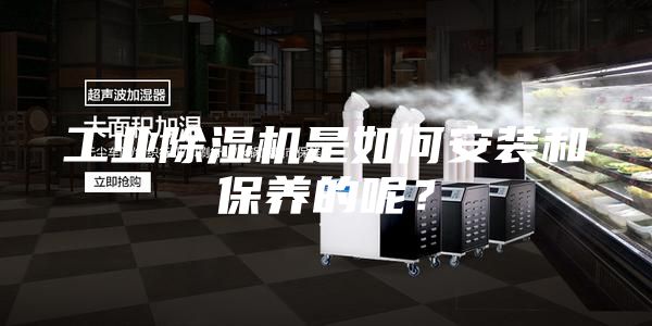 工業(yè)除濕機是如何安裝和保養(yǎng)的呢？