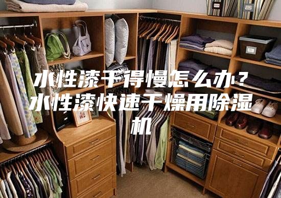 水性漆干得慢怎么辦？水性漆快速干燥用除濕機