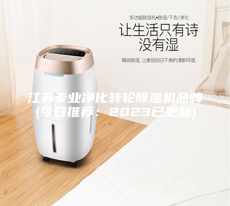 江蘇專業(yè)凈化轉(zhuǎn)輪除濕機(jī)品牌(今日推薦:2023已更新)