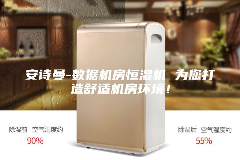 安詩(shī)曼-數(shù)據(jù)機(jī)房恒濕機(jī) 為您打造舒適機(jī)房環(huán)境！