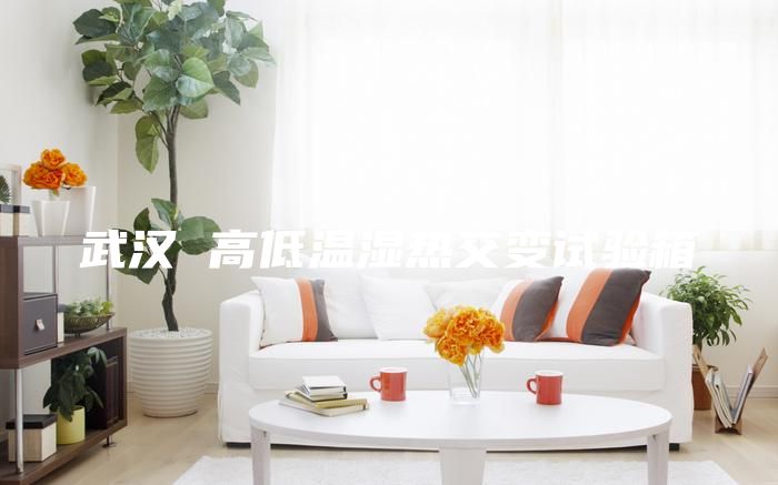 武漢 高低溫濕熱交變試驗(yàn)箱